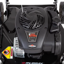 Load image into Gallery viewer, Murray 20 in. 125 cc Briggs &amp; Stratton Gas Walk Behind Push Mower
